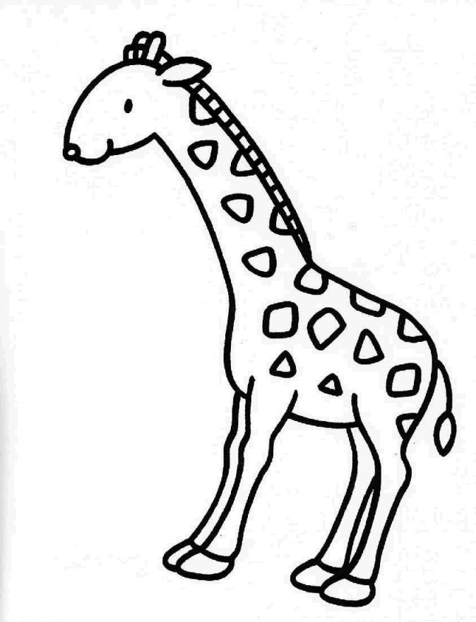 Malvorlage giraffe kostenlos Idea